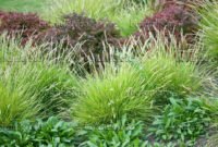 Perfect Green Grass Design Ideas For Front Yard Garden 25