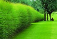 Perfect Green Grass Design Ideas For Front Yard Garden 26