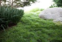 Perfect Green Grass Design Ideas For Front Yard Garden 28