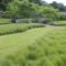 Perfect Green Grass Design Ideas For Front Yard Garden 29