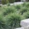 Perfect Green Grass Design Ideas For Front Yard Garden 36