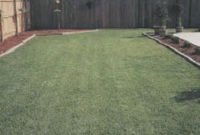 Perfect Green Grass Design Ideas For Front Yard Garden 37