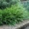 Perfect Green Grass Design Ideas For Front Yard Garden 39
