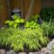 Perfect Green Grass Design Ideas For Front Yard Garden 43