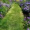 Perfect Green Grass Design Ideas For Front Yard Garden 48