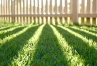 Perfect Green Grass Design Ideas For Front Yard Garden 52