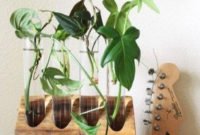 Attractive Indoor Water Garden Ideas For Enjoy Your Time 01