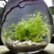 Attractive Indoor Water Garden Ideas For Enjoy Your Time 03