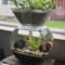 Attractive Indoor Water Garden Ideas For Enjoy Your Time 05