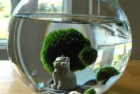 Attractive Indoor Water Garden Ideas For Enjoy Your Time 06