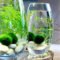 Attractive Indoor Water Garden Ideas For Enjoy Your Time 07