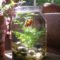 Attractive Indoor Water Garden Ideas For Enjoy Your Time 08