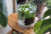Attractive Indoor Water Garden Ideas For Enjoy Your Time 14