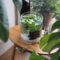 Attractive Indoor Water Garden Ideas For Enjoy Your Time 14