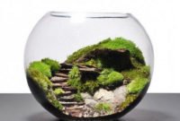 Attractive Indoor Water Garden Ideas For Enjoy Your Time 17