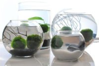 Attractive Indoor Water Garden Ideas For Enjoy Your Time 21