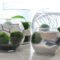 Attractive Indoor Water Garden Ideas For Enjoy Your Time 21