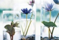 Attractive Indoor Water Garden Ideas For Enjoy Your Time 32