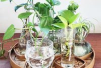 Attractive Indoor Water Garden Ideas For Enjoy Your Time 35