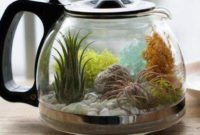 Attractive Indoor Water Garden Ideas For Enjoy Your Time 36
