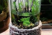 Attractive Indoor Water Garden Ideas For Enjoy Your Time 42