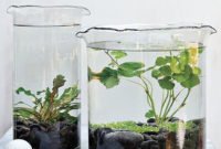 Attractive Indoor Water Garden Ideas For Enjoy Your Time 45