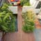 Amazing Backyard Landscaping Design Ideas On A Budget 42