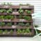 Chic Herb Garden Design And Remodel Ideas To Try Right Now 01