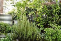 Chic Herb Garden Design And Remodel Ideas To Try Right Now 16