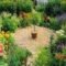 Chic Herb Garden Design And Remodel Ideas To Try Right Now 33