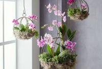 Extraordinary Indoor Garden Design And Remodel Ideas For Apartment 09