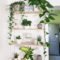 Extraordinary Indoor Garden Design And Remodel Ideas For Apartment 19