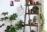 Extraordinary Indoor Garden Design And Remodel Ideas For Apartment 20