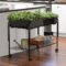 Extraordinary Indoor Garden Design And Remodel Ideas For Apartment 43