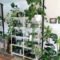 Extraordinary Indoor Garden Design And Remodel Ideas For Apartment 50