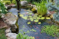 Cool Fish Pond Garden Landscaping Ideas For Backyard 01