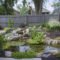 Cool Fish Pond Garden Landscaping Ideas For Backyard 02