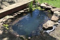 Cool Fish Pond Garden Landscaping Ideas For Backyard 04