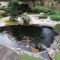 Cool Fish Pond Garden Landscaping Ideas For Backyard 06