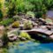 Cool Fish Pond Garden Landscaping Ideas For Backyard 10