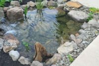 Cool Fish Pond Garden Landscaping Ideas For Backyard 11