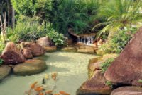 Cool Fish Pond Garden Landscaping Ideas For Backyard 14