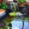 Cool Fish Pond Garden Landscaping Ideas For Backyard 32