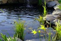 Cool Fish Pond Garden Landscaping Ideas For Backyard 41