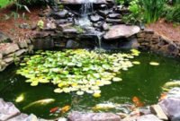 Cool Fish Pond Garden Landscaping Ideas For Backyard 42