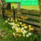 Modern Flower Beds Rocks Ideas For Front House To Try 45