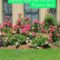 Modern Flower Beds Rocks Ideas For Front House To Try 46