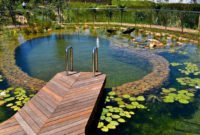 Top Natural Small Pool Design Ideas To Copy Asap 14